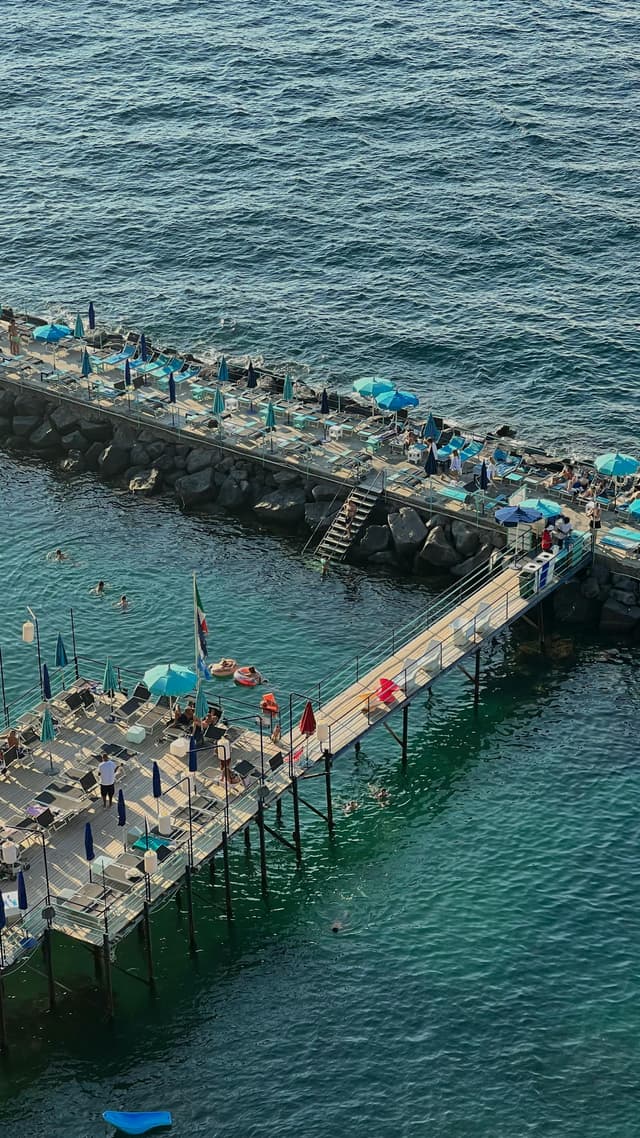  Spectacol Marin la Constanța – Doi Delfini Încântă Vizitatorii de pe Faleza Cazinoului în Zilele Orașului!