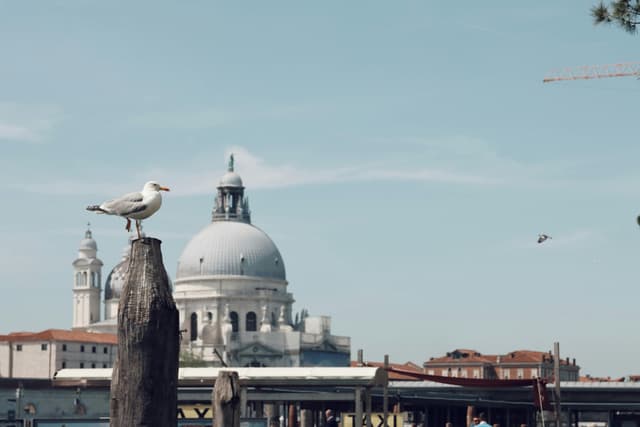 Pe 15 mai, Sfântul Pahomie cel Mare, tămăduitor și izgonitor de diavoli, este cinstit de credincioși