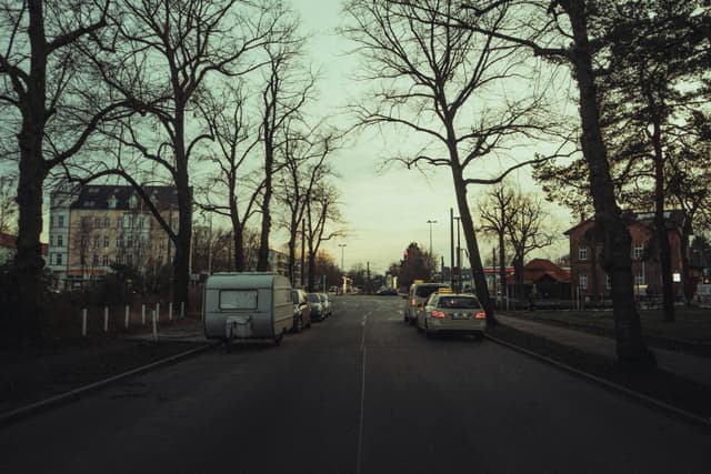  Bulevardele Alexandru Lăpușneanu și 1 Mai Devotate Transportului Public!