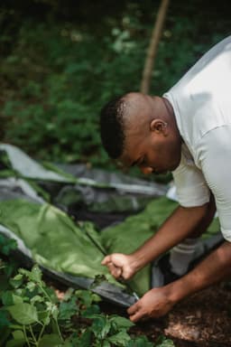  Camping Turistic Eco-Friendly în Dezvoltare! Află Detalii Aici!