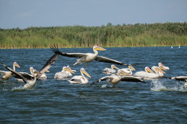  Proiectul 5G Connect Danube Delta aduce viitorul conectivității în inima naturii!